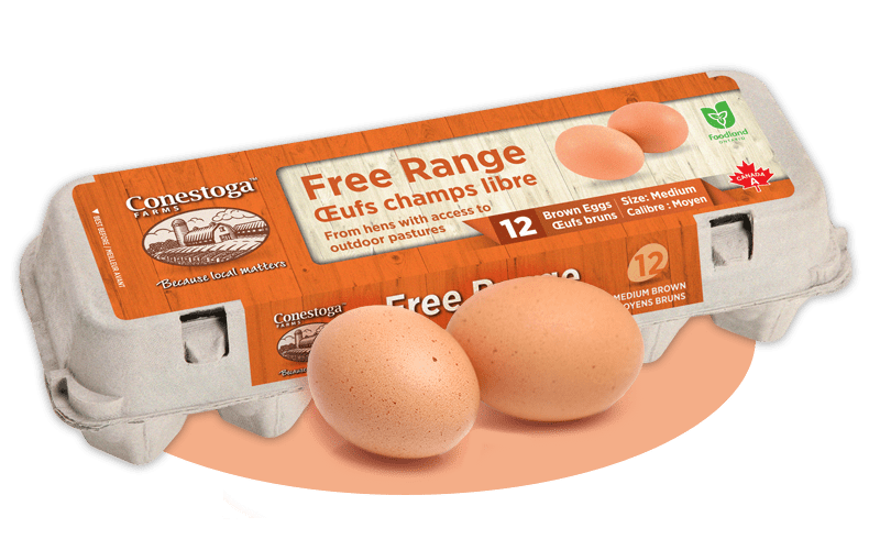 Free Range Eggs