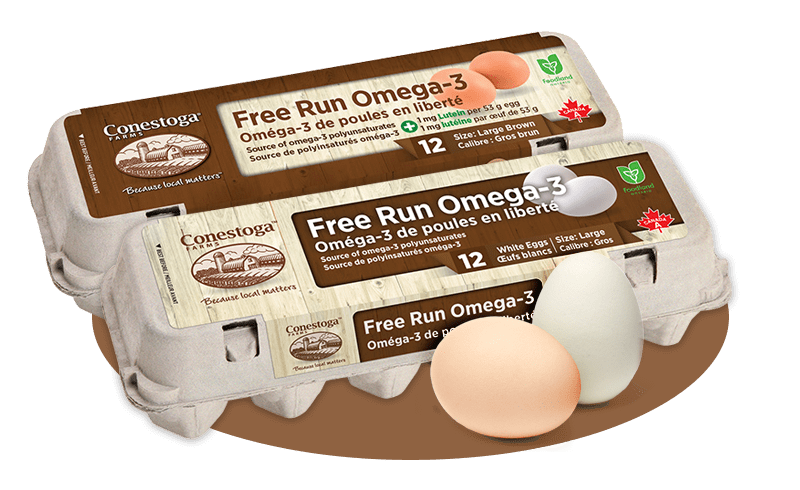 Free Run Omega 3 Eggs