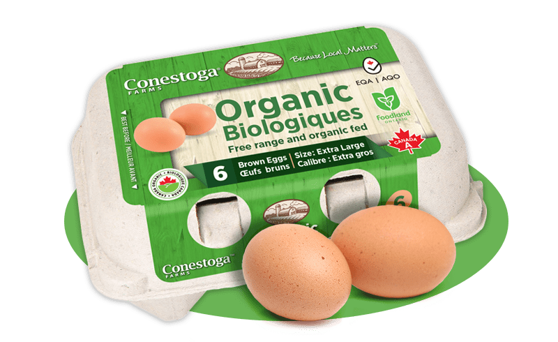 Conestoga Organic Eggs