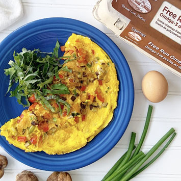 Kid-Approved Eggcellent Omelette