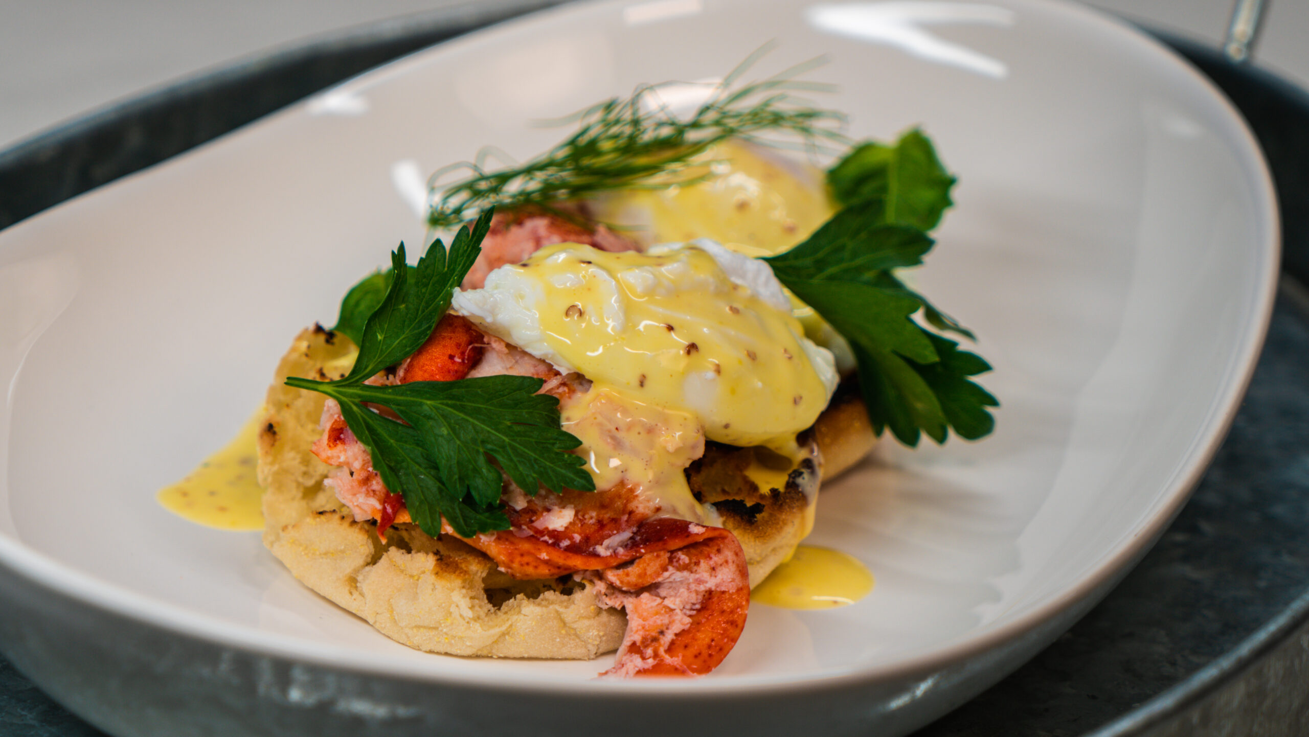 Red Lobster Benny